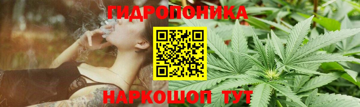 Каннабис семена  Марихуана гибрид  Бошки марихуана VHQ  Осинники  Вход с VPN 